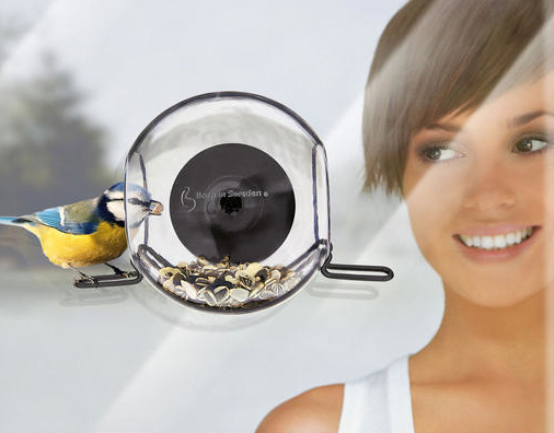 Deixando o passarinho mais feliz