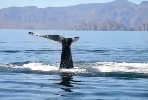 Fazer o bem, é inevitável