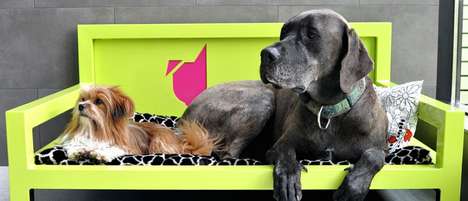 Para os animais de luxo